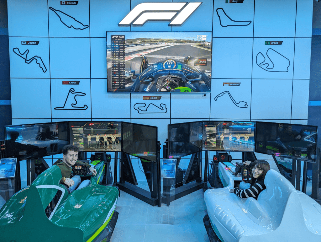 Commercial F1 simulator for beginners